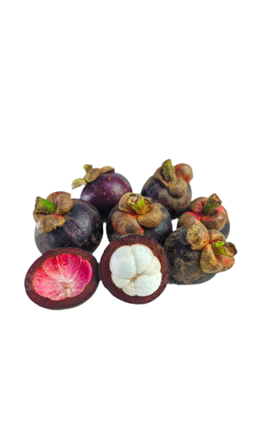 Mangostan