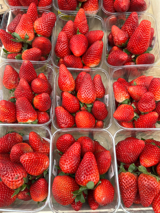 Erdbeeren