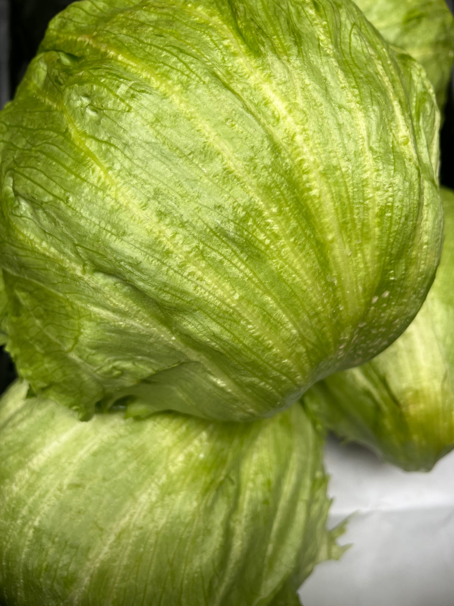 Eisbergsalat