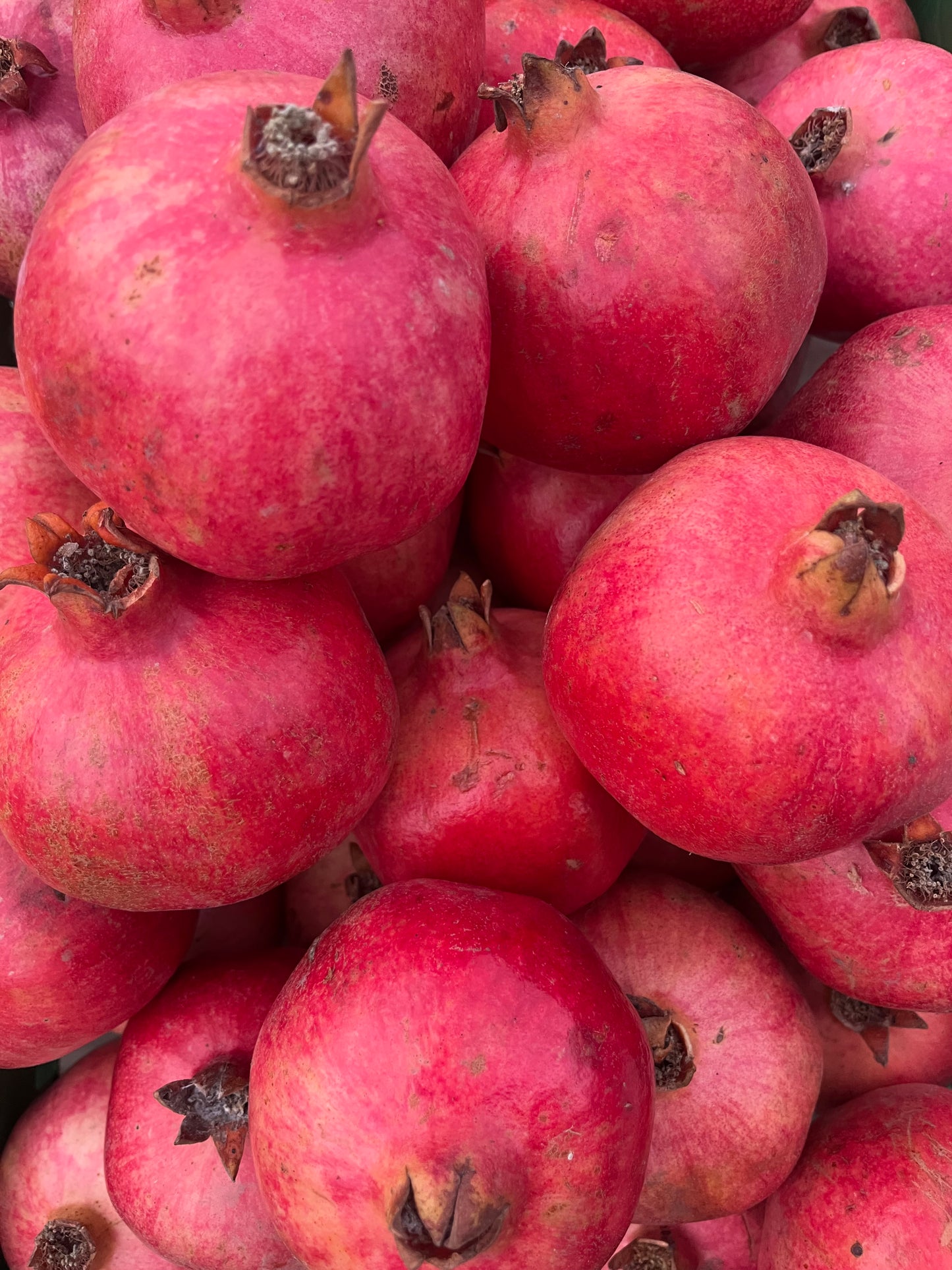 Granatapfel