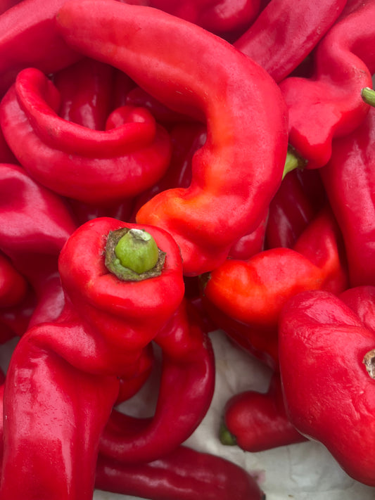 Paprika