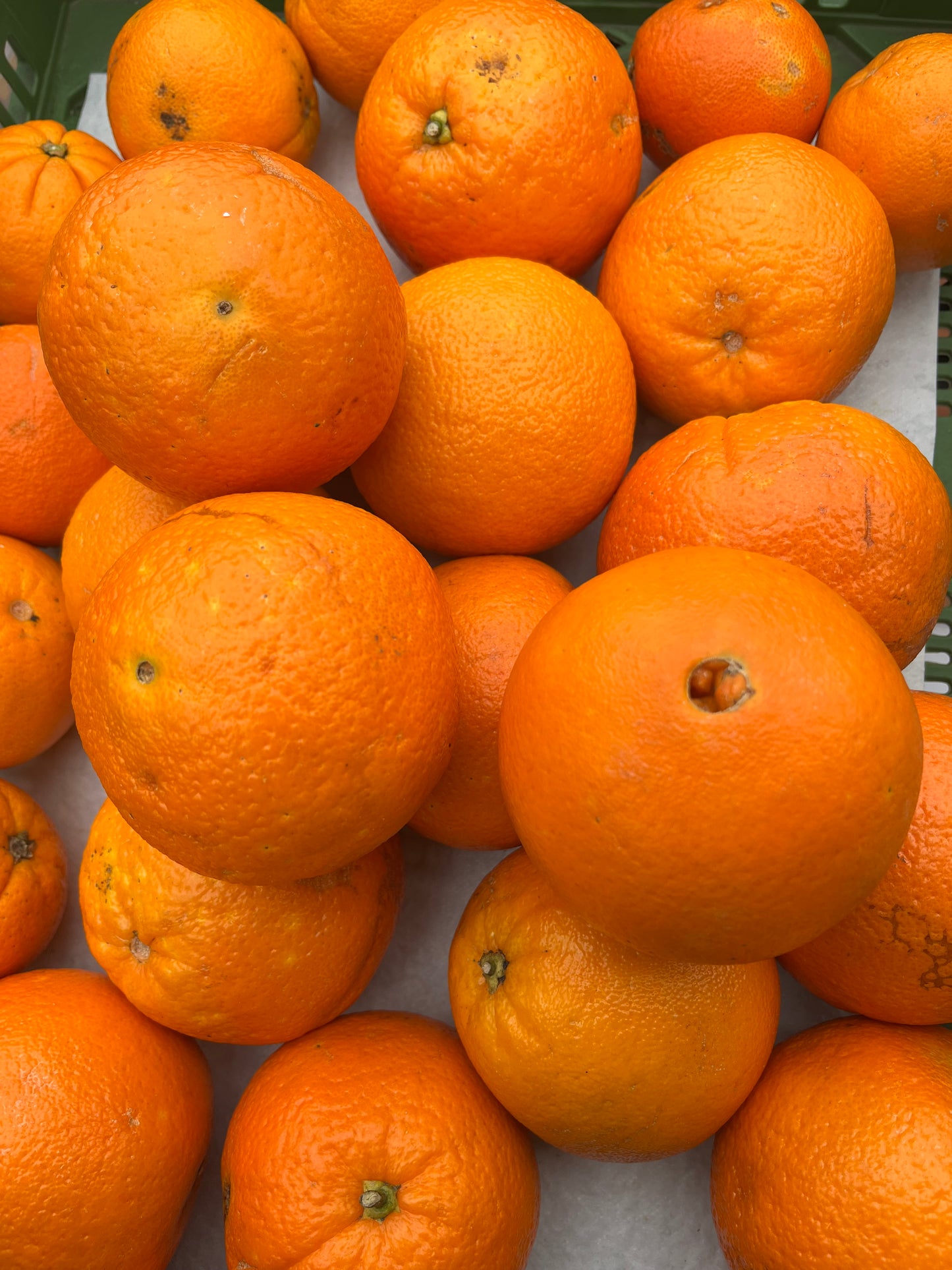 Sizilianische Orangen