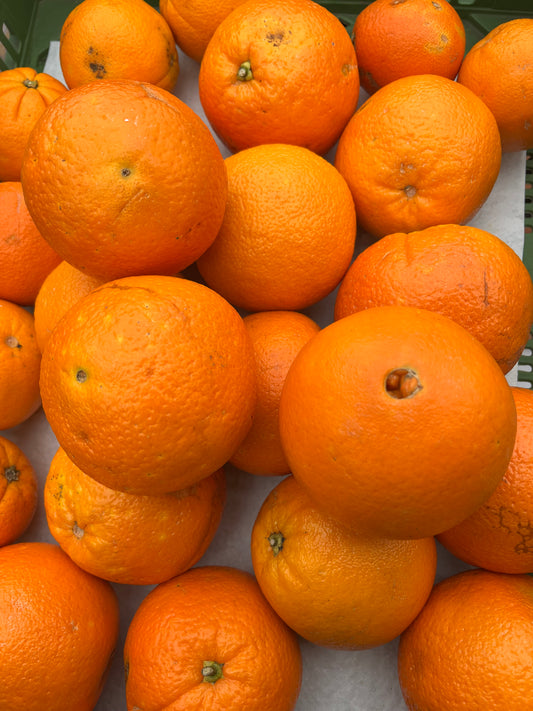 Sizilianische Orangen