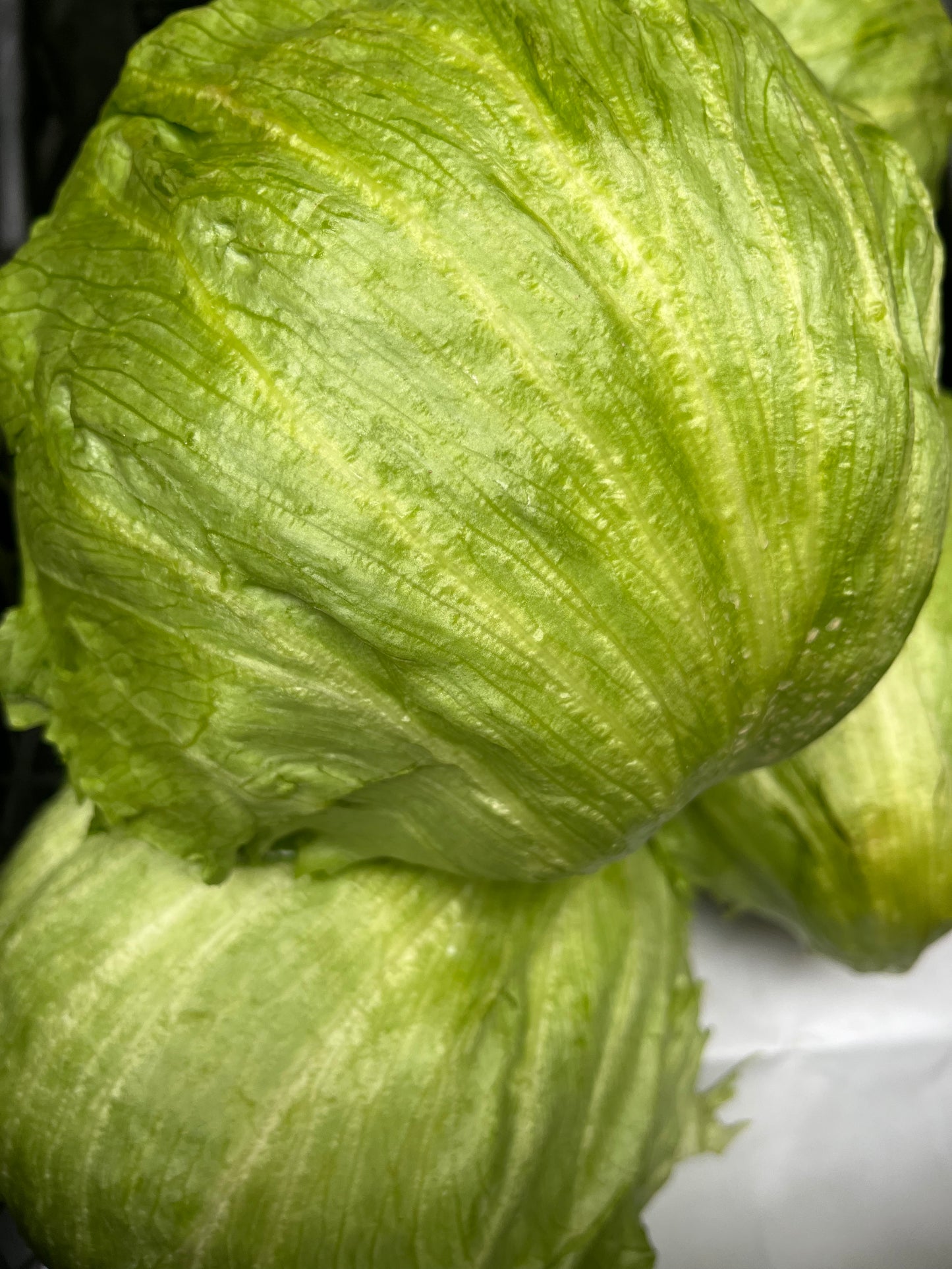 Eisbergsalat