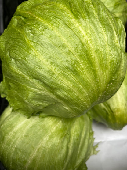 Eisbergsalat