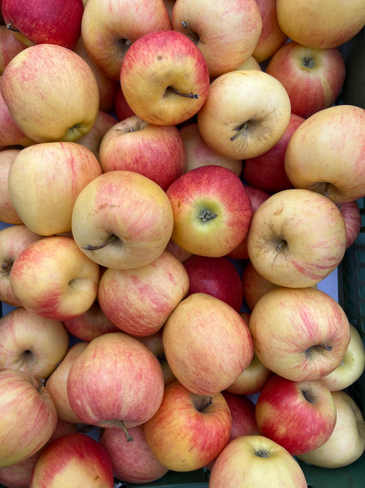 Äpfel