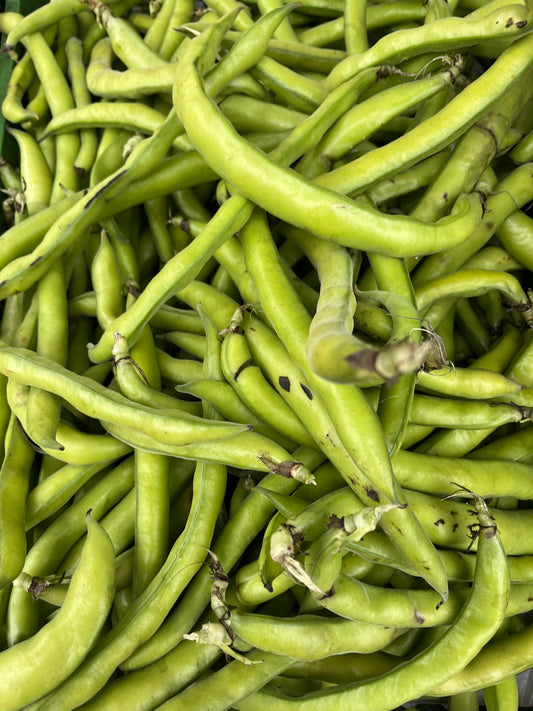 Saubohnen